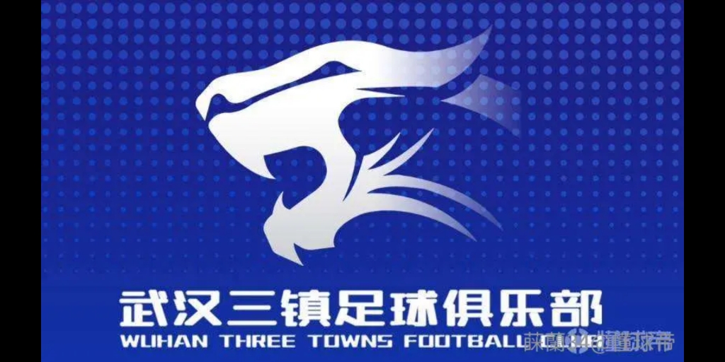武汉足球队叫什么名字(武汉足球队叫什么名字来着)