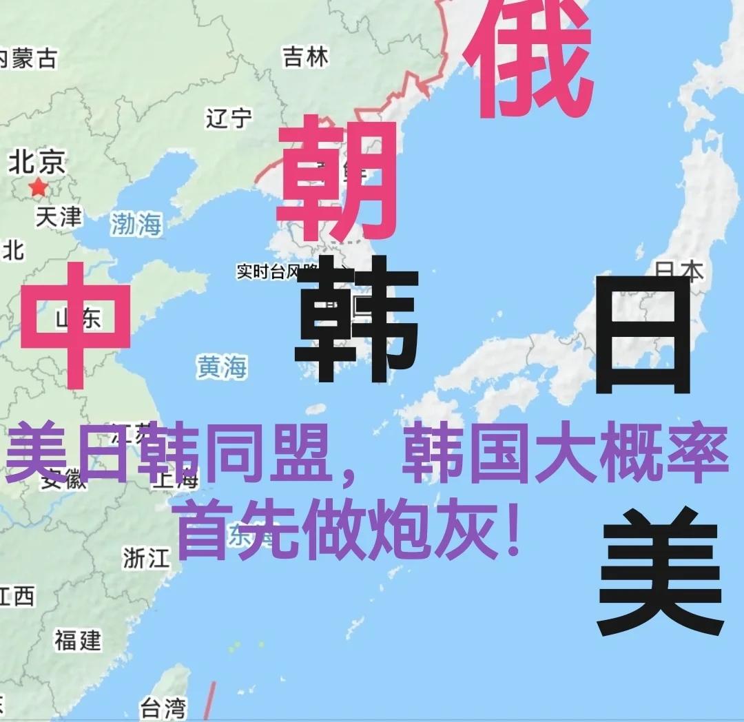 韩国vs日本vs美国视频(韩国vs日本vs美国视频直播)