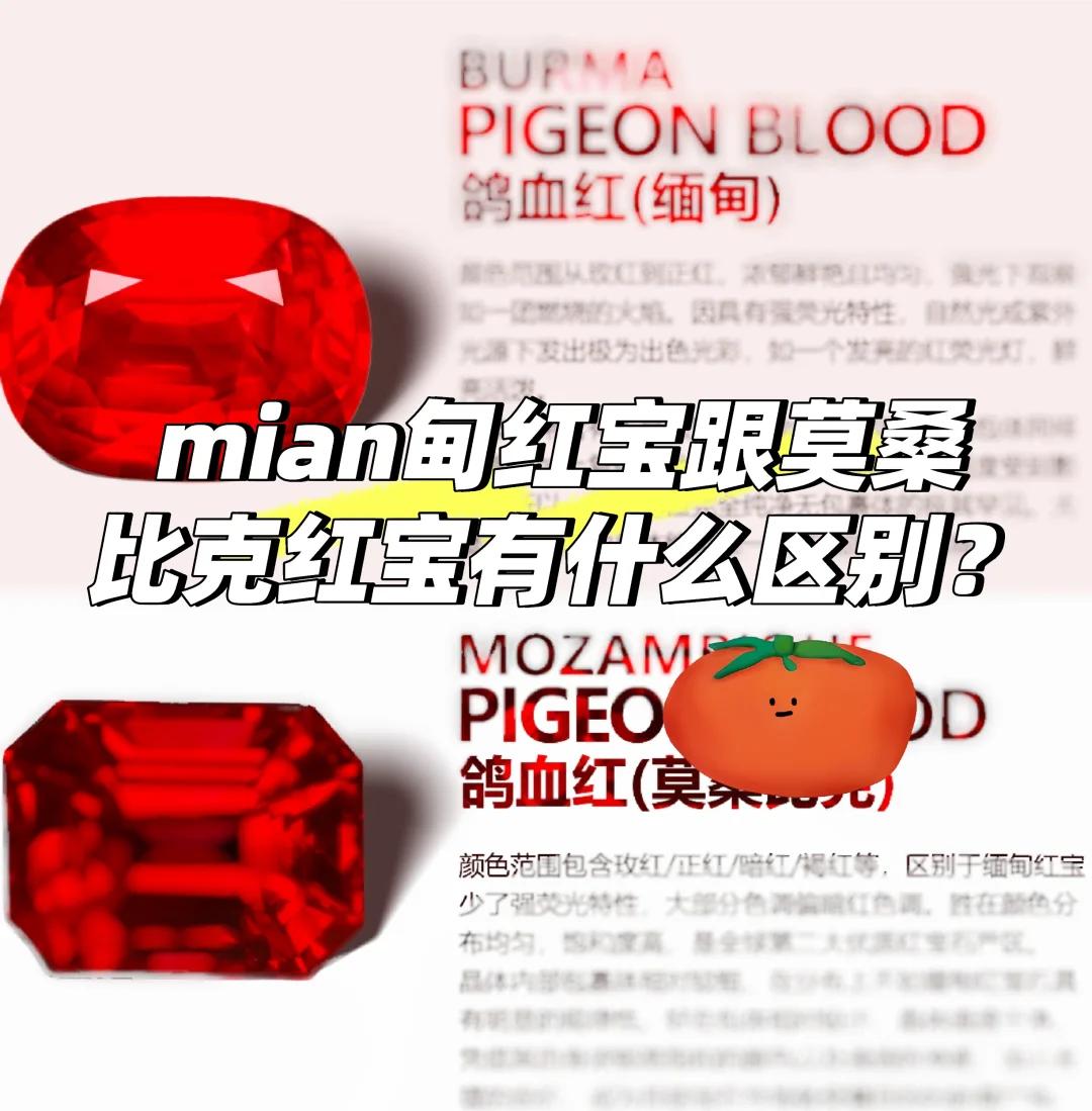 迪纳摩vs红宝石(迪纳摩vs红宝石谁厉害)